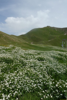 2022-06-21-SAC-Gruensee-Fuerggli-123
