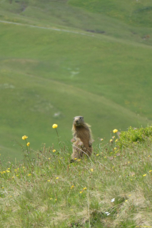 2022-06-21-SAC-Gruensee-Fuerggli-129