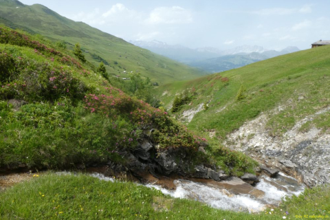 2022-06-21-SAC-Gruensee-Fuerggli-147