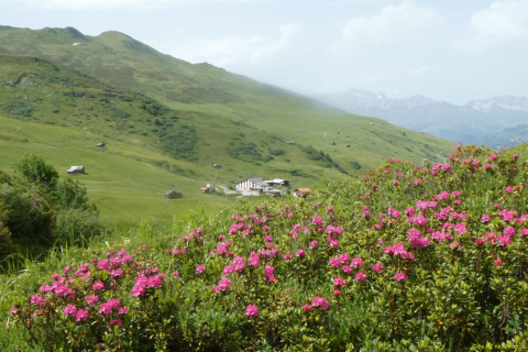 2022-06-21-SAC-Gruensee-Fuerggli-149