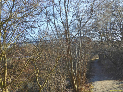2022-01-25-SAC-RS-Sirnach-Wand-80_bearbeitet-1
