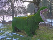 2022-01-25-SAC-RS-Sirnach-Wand-43_bearbeitet-1