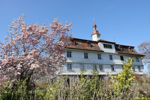 2022-04-06-SAC-RS-rund-um-Thal-IM_R5122