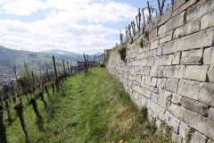 2022-04-06-SAC-RS-rund-um-Thal-IM_R5090