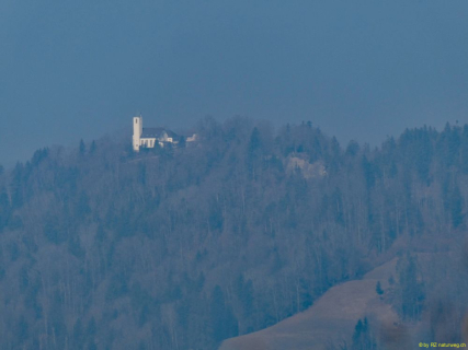 2022-03-08-SAC-RS-Schlosshoechi-38_bearbeitet-1