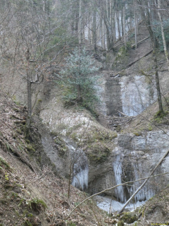 2022-03-08-SAC-RS-Schlosshoechi-44