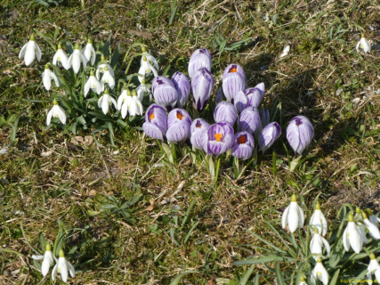 2022-03-08-SAC-RS-Schlosshoechi-67