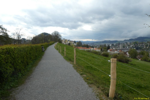 2022-04-26-SAC-RS-Brand3Weiher-38