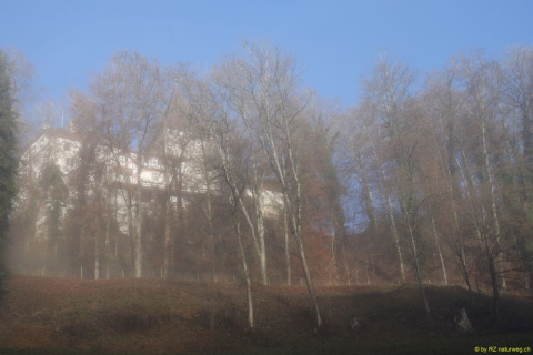 2021-12-27-Weinfelden-Stelzenhof-zurueck-IM_R3535