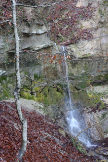 2021-12-27-Weinfelden-Stelzenhof-zurueck-IM_R3539