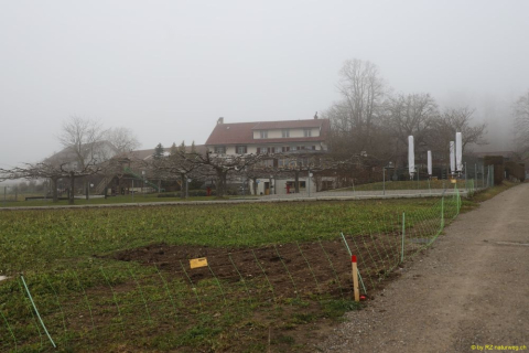 2021-12-27-Weinfelden-Stelzenhof-zurueck-IM_R3572