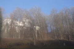 2021-12-27-Weinfelden-Stelzenhof-zurueck-IM_R3535