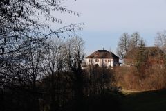 2021-12-27-Weinfelden-Stelzenhof-zurueck-IM_R3548