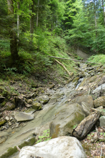 2022-05-31-SAC-StossAltstaetten-25