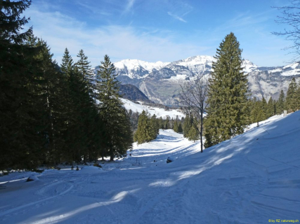 23-2022-03-01-SAC-SG-Alpbiglistoec-100-1_bearbeitet-1