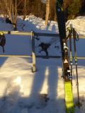 2022-01-16-Skitour-Lawinenkurs-08