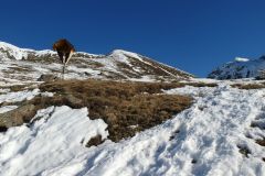 2023-02-14-SAC-SG-Glockhauser-018