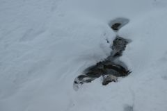 2023-02-17-SAC-SG-Grionkopf-060