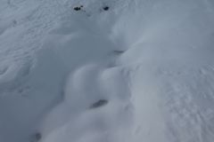 2023-02-17-SAC-SG-Grionkopf-072