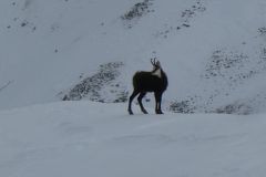2023-02-17-SAC-SG-Grionkopf-084