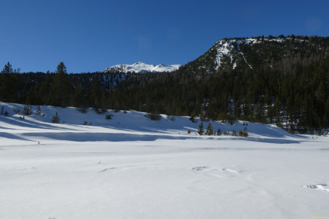 2023-02-12-SAC-SG-Mt-Buffalora-08