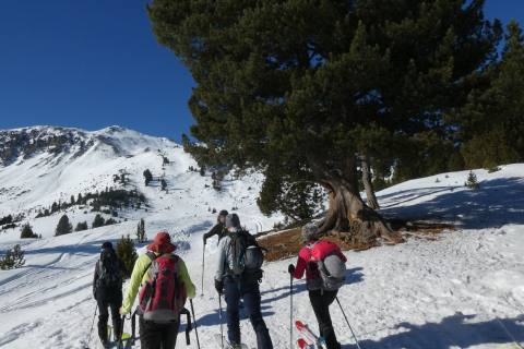 2023-02-12-SAC-SG-Mt-Buffalora-12