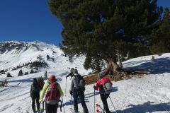 2023-02-12-SAC-SG-Mt-Buffalora-12