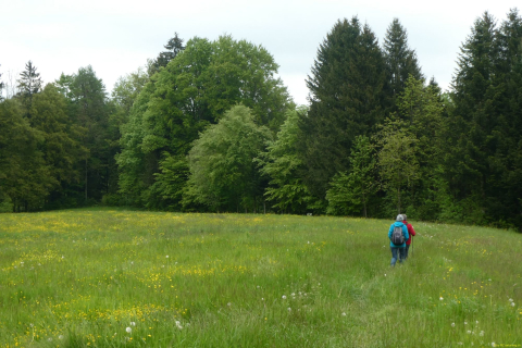 2023-05-18-OM-Maibummel-Wissba-15