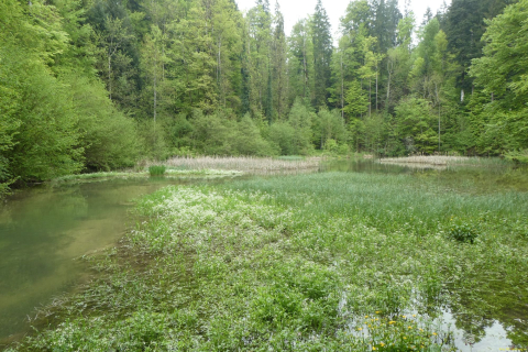 2023-05-18-OM-Maibummel-Wissba-32