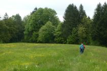 2023-05-18-OM-Maibummel-Wissba-15