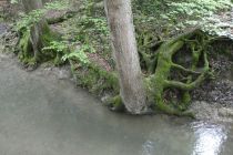 2023-05-18-OM-Maibummel-Wissba-27