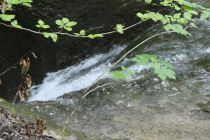 2023-05-18-OM-Maibummel-Wissba-38