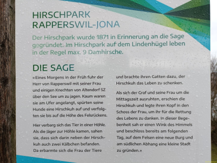 2023-12-12-SAC-RS-Rapperswil-58