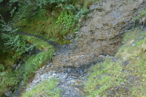 2023-08-18-Duvin-Pitasch-Riein-074