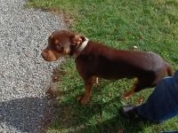 2023-10-17-SAC-RS-Crups-Fadaera-065