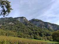 2023-10-17-SAC-RS-Crups-Fadaera-094