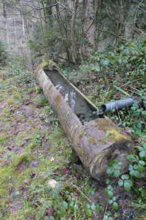 2022-01-10-SAC-RS-Goldach-Hoehe-035