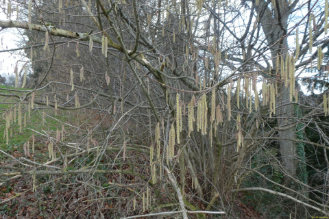 2022-01-10-SAC-RS-Goldach-Hoehe-044