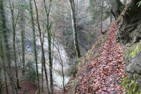 2022-01-10-SAC-RS-Goldach-Hoehe-054