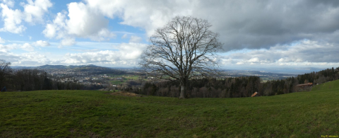 2022-01-10-SAC-RS-Goldach-Hoehe-101