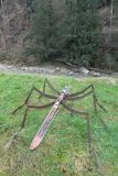 2022-01-10-SAC-RS-Goldach-Hoehe-011