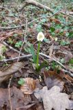2022-01-10-SAC-RS-Goldach-Hoehe-038