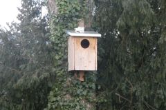 2022-01-10-SAC-RS-Goldach-Hoehe-043