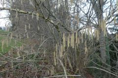 2022-01-10-SAC-RS-Goldach-Hoehe-044