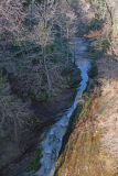 2022-01-10-SAC-RS-Goldach-Hoehe-045_bearbeitet-1