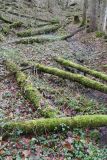 2022-01-10-SAC-RS-Goldach-Hoehe-063