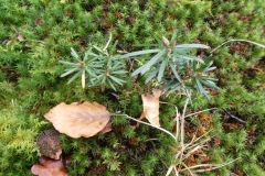 2022-01-10-SAC-RS-Goldach-Hoehe-075