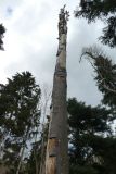 2022-01-10-SAC-RS-Goldach-Hoehe-078