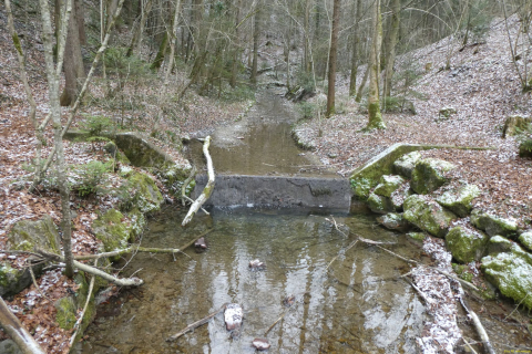 2023-02-28-SAC-RS-Ruinenweg-TG-070
