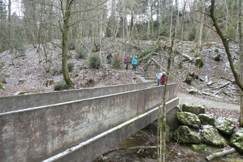 2023-02-28-SAC-RS-Ruinenweg-TG-071